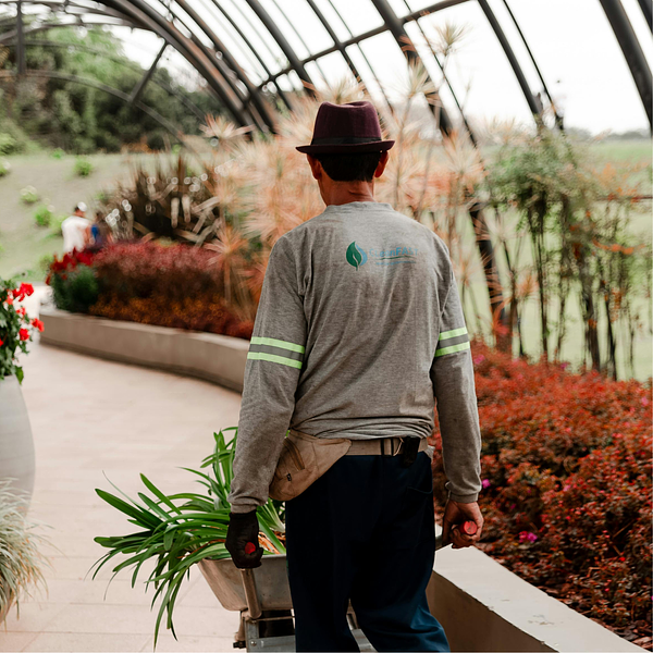 Vendeur en jardinerie - Photo 4